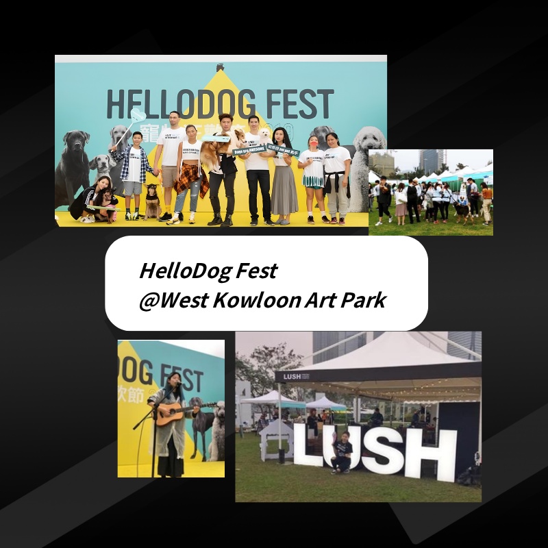 HelloDog Fest @ West Kowloon