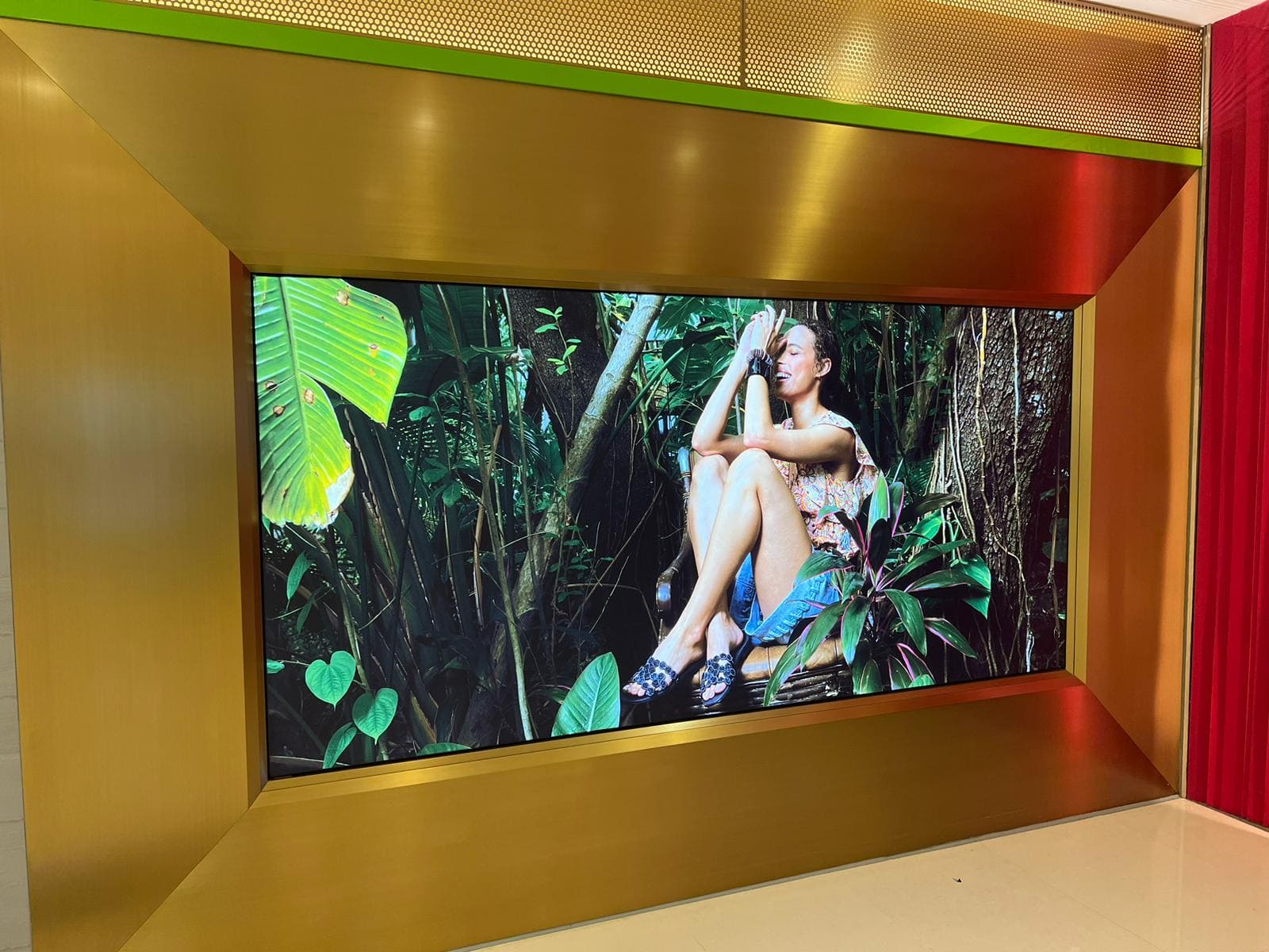 Tropical Jungle Digital Display